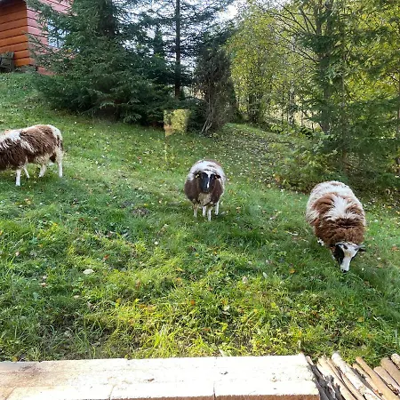 Chalet Horska Pluskovjanka *